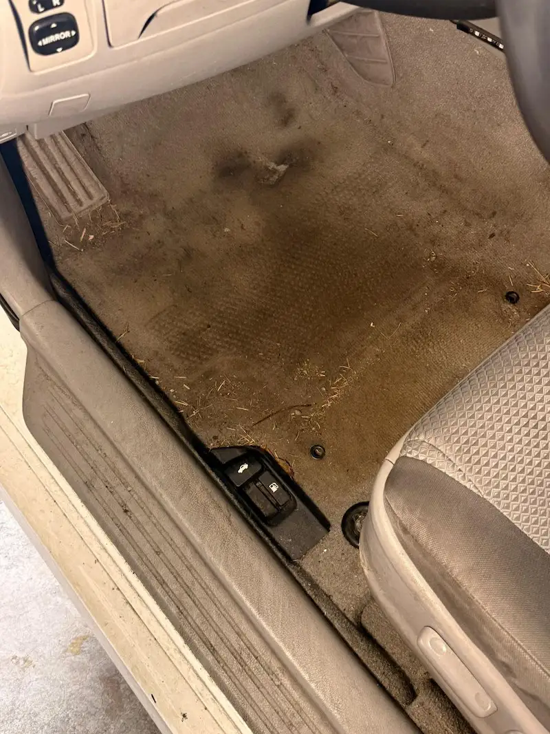 Deep shampoo extraction floor mats — ATW Detailing, Puyallup, WA